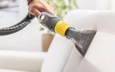 The Best Natural Ingredients and Formulations for Carpet Perfume